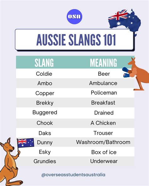 102 Australian Slang Words and Phrases [With Audio .